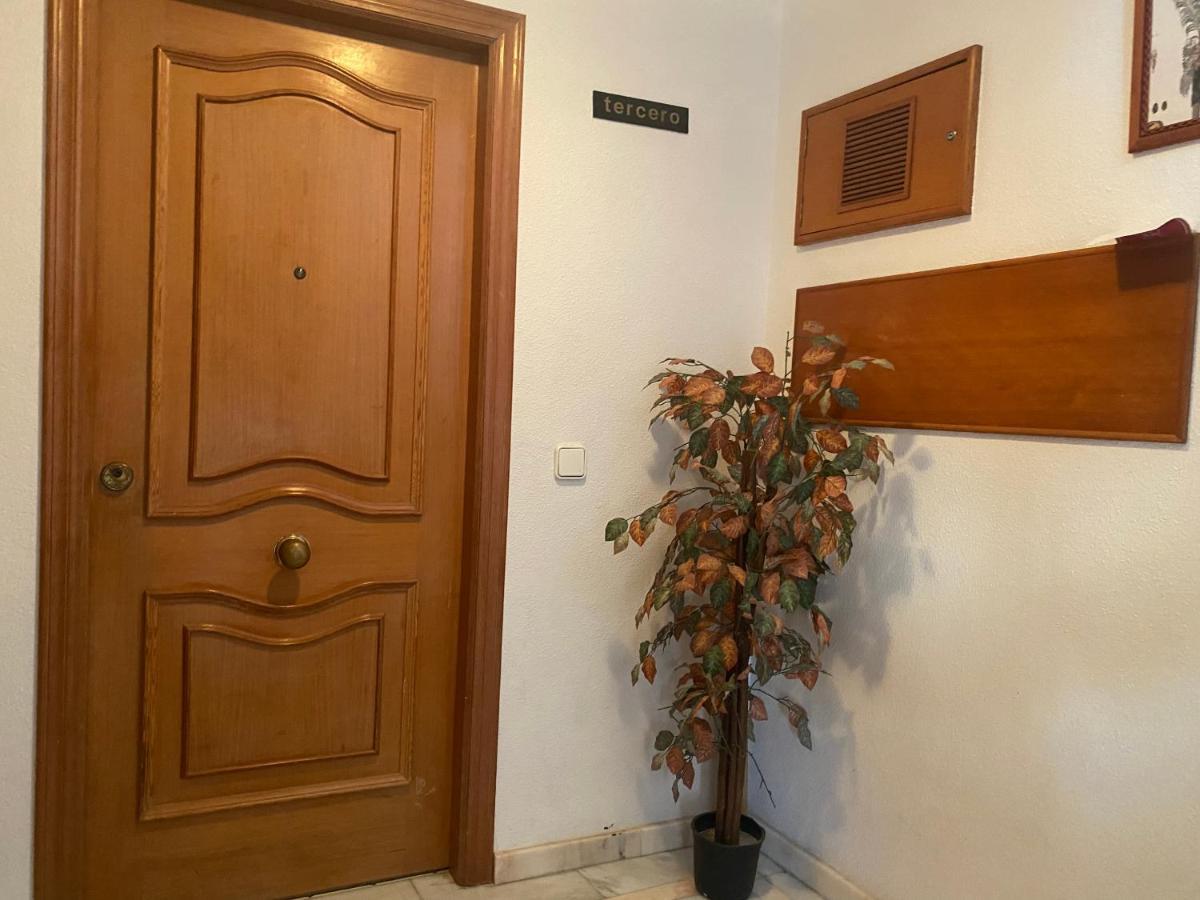 Homely Apartments Mar 3 Торевьиа Экстерьер фото